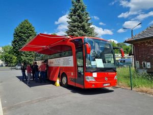 Na zdjęciu krwiobus