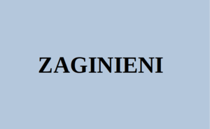 W dalszym ciągu poszukujemy zaginionych