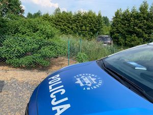 Pijany kierowca wypadł z drogi w Radzimowie Dolnym
