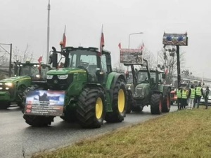 Na zdjęciu ciągniki