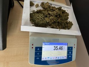 Marihuana zabezpieczona przez policjantów z Bogatyni