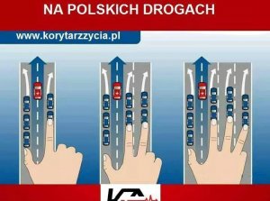 Na zdjęciu korytarz życia