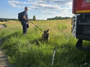 Na zdjęciu przewodnik psa