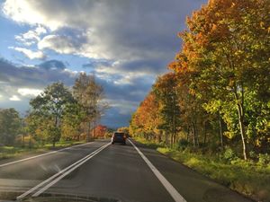 Jesień na drogach – widzisz mniej, reaguj wcześniej!