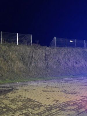 Na zdjęciu ogrodzenie