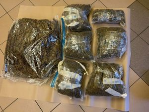 Zgorzeleccy kryminalni zabezpieczyli prawie 9 kg marihuany