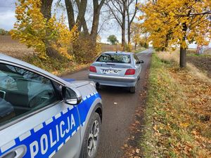 Kontrola drogowa dzielnicowych zakończona zatrzymaniem kierującego i pasażera