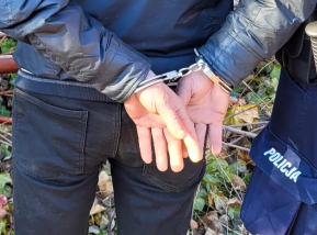 11 osób poszukiwanych przez wymiar sprawiedliwości zatrzymanych podczas dwudniowych działań