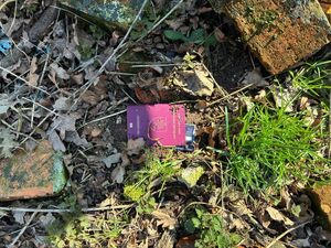 Na zdjęciu dokumenty