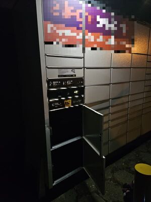 Policjanci z Bogatyni zatrzymali sprawców włamań do paczkomatów. Jeden z nich poszukiwany był na podstawie 5 listów gończych i 6 zarządzeń o zatrzymaniu