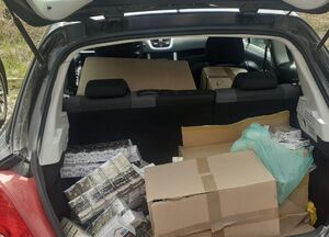 Nielegalne wyroby tytoniowe zabezpieczone przez zgorzeleckich policjantów. Straty Skarbu Państwa mogły sięgnąć ponad 440 tysięcy złotych