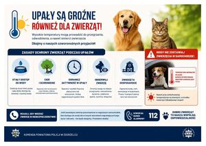 Na zdjęciu informacje z komunikatu
