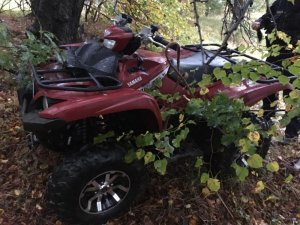 Pojazd typu quad koloru czerwonego stojący w lesie